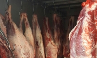 ضبط 1.5 طن اللحوم المذبوحة بدون رقابة