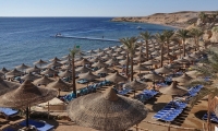 قطاع السياحة في مصر مهدد بالشلل التام