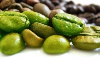 فوائد صحية للقهوة الخضراء في شهر رمضان