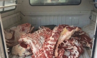 مداهمة ملحمة ومصادرة 1.5 طن من اللحوم