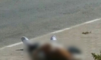 اطلاق النار فتاة فلسطينية بادعاء محاولة الطعن قرب نابلس