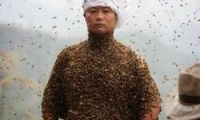 طريقة مؤلمة للترويج للعسل في الصين