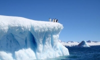 علماء يرصدون ارتفاع القاعدة الصخرية للقطب الجنوبي بوتيرة سريعة
