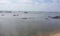 مصرع شاب غرقا في شاطئ البصة في نهاريا