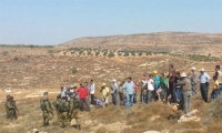 إصابات في مواجهات بين مستوطنين ومزارعين قضاء نابلس