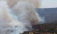حريق هائل يلتهم العديد من كروم الزيتون شرق ديرحنا