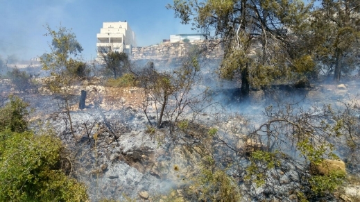 حريق هائل في أحراش أبو غوش وإخلاء المنازل القريبة