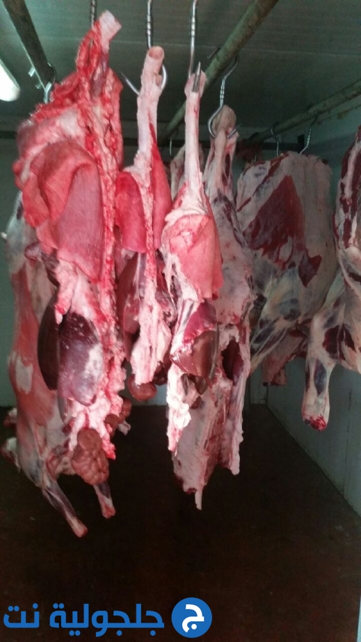 ضبط 1.5 طن من اللحوم غير الخاضعة للرقابه البيطرية