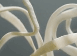 ���� ���� �������